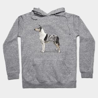 The Blue Merle Smooth Collie Hoodie